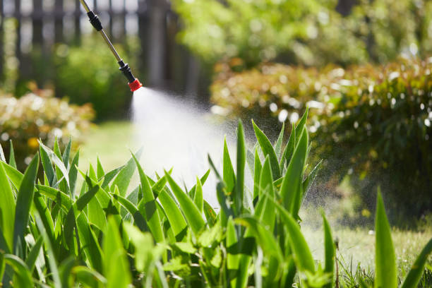 Tamper-Resistant Bait Stations for Rodents in Bell Canyon